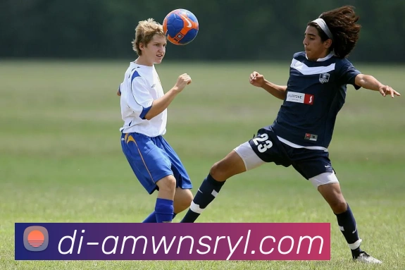 多媒体互动体验